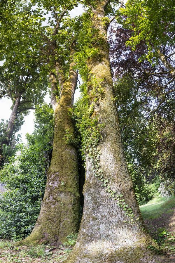 Le Domaine De Langlardie Soudat 외부 사진